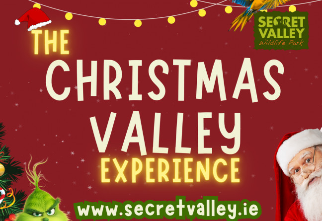 Things to do in County Wexford, Ireland - The Christmas Valley Experience - YourDaysOut
