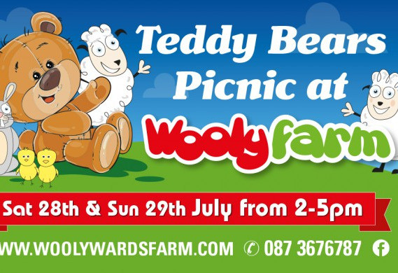 Things to do in County Dublin, Ireland - Teddy Bear's Picnic - YourDaysOut