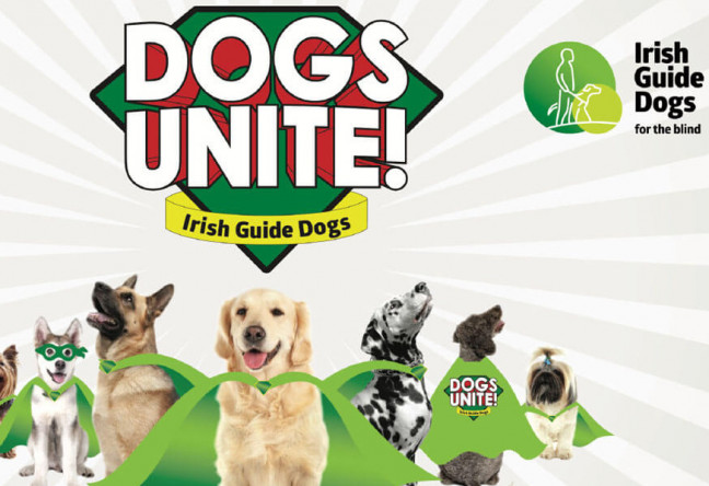 Things to do in County Dublin, Ireland - Dogs Unite - YourDaysOut