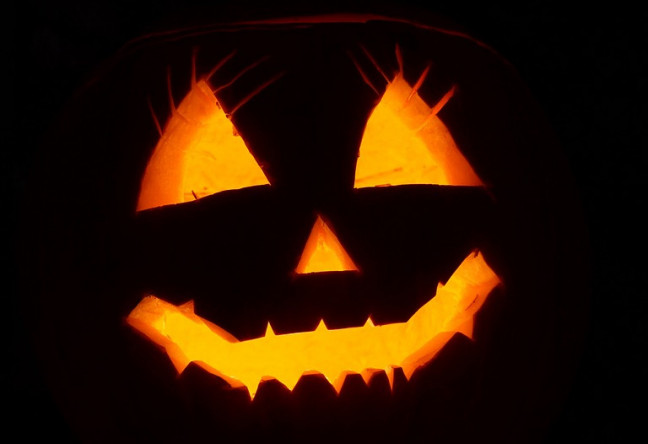 Things to do in County Wexford, Ireland - Pumpkin Carving Workshop - YourDaysOut