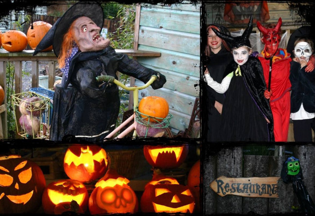 Things to do in County Galway, Ireland - Kid's Halloween Party - YourDaysOut