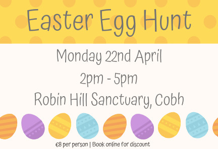 Things to do in County Cork, Ireland - Egg Hunt at Robin Hill - YourDaysOut