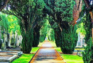 Things to do in County Dublin, Ireland - Summer Children's Tours at Glasnevin Cemetery Museum - YourDaysOut