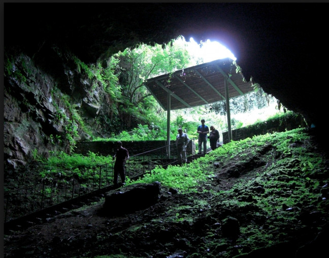 Things to do in County Kilkenny, Ireland - Dunmore Cave - YourDaysOut