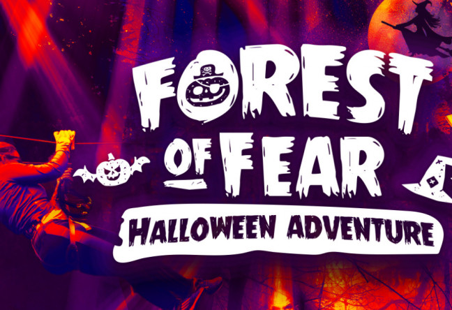 Things to do in County Louth, Ireland - Forest of Fear Adventure |  Carlingford - YourDaysOut