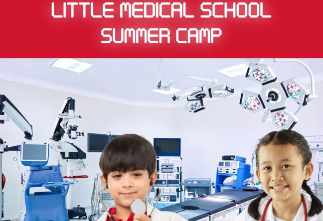 Things to do in County Wexford, Ireland - Little Medical School Summer Camp - YourDaysOut