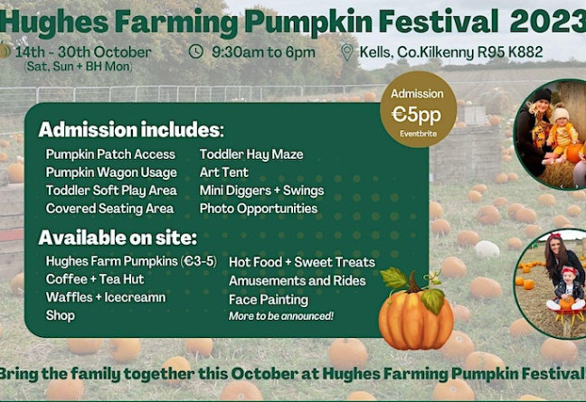 Things to do in County Kilkenny, Ireland - Kilkenny Pumpkin Picking - YourDaysOut