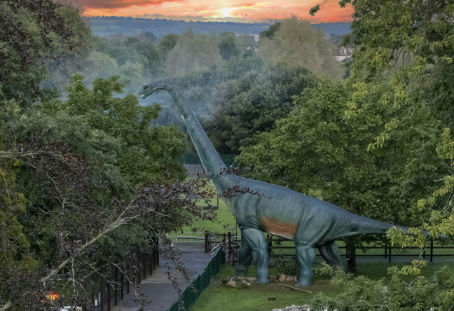 Things to do in County Kilkenny, Ireland - Jurassic Newpark - YourDaysOut