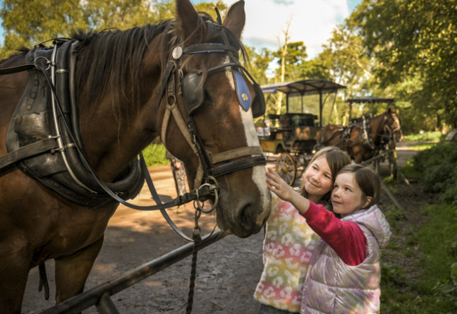 Things to do in County Kerry, Ireland - Killarney is bursting with fun, exciting and affordable activities for children and teenagers to explore nature this Autumn-Winter. - YourDaysOut