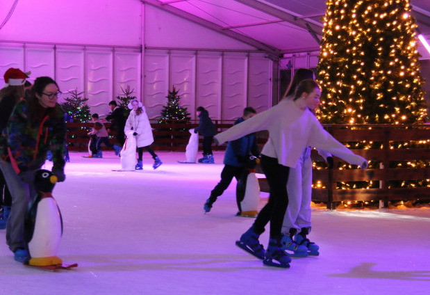Things to do in County Wicklow, Ireland - Wicklow on Ice at Beyond the Trees Avondale - YourDaysOut