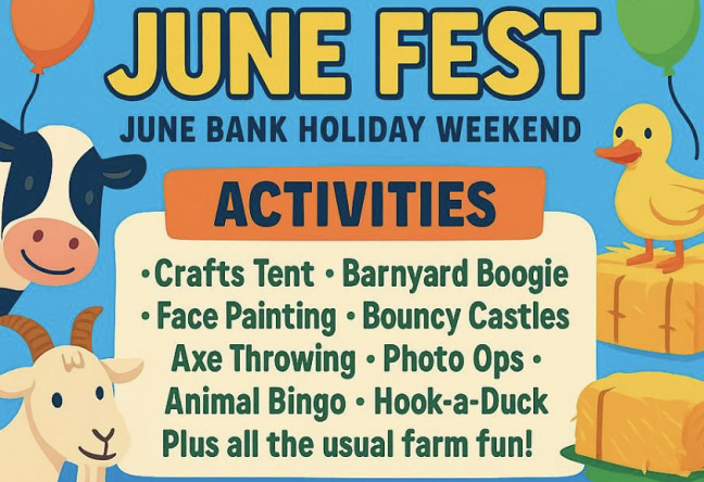 Things to do in County Laois, Ireland - June Fest - YourDaysOut