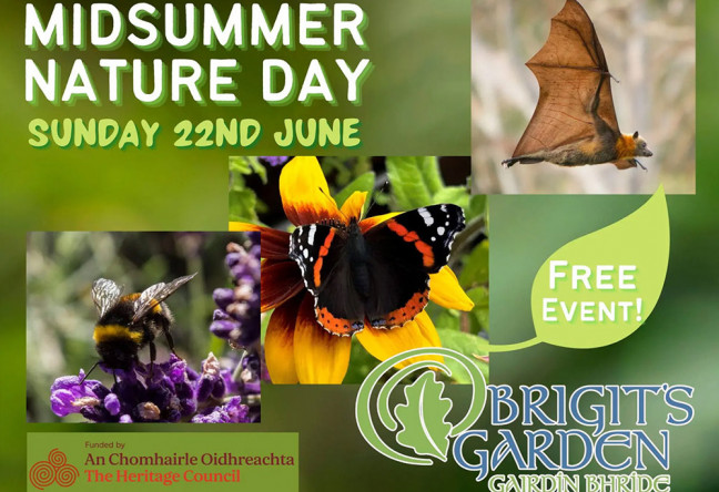 Things to do in County Galway, Ireland - Midsummer Nature Day - YourDaysOut