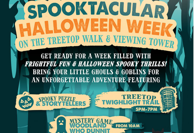 Things to do in County Wicklow, Ireland - Spooktacular Halloween Week - YourDaysOut