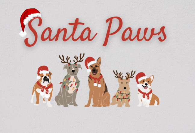 Things to do in County Dublin, Ireland - Santa Paws - YourDaysOut