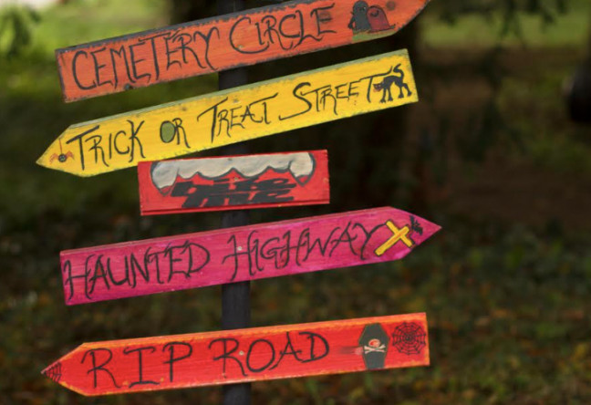 Things to do in County Offaly, Ireland - Halloween at Birr Castle Demesne - YourDaysOut