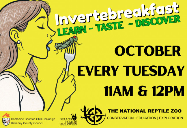 Things to do in County Kilkenny, Ireland - Invertebreakfast - YourDaysOut