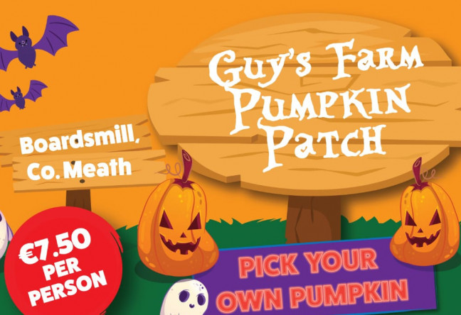 Things to do in County Meath, Ireland - Guy Farm Pumpkin Patch - YourDaysOut