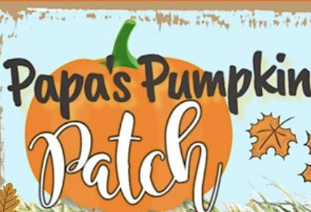 Things to do in County Dublin, Ireland - Papa’s Pumpkin Patch - YourDaysOut