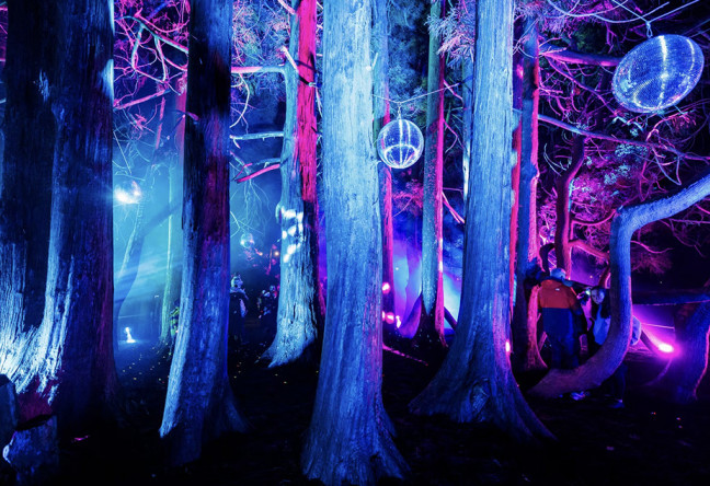 Things to do in County Cork, Ireland - Wonderlights at Fota - YourDaysOut