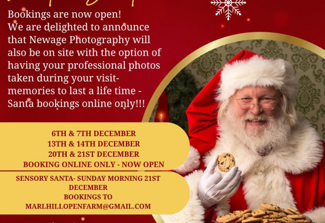 Things to do in County Tipperary, Ireland - Christmas at Marlhill Experience - YourDaysOut