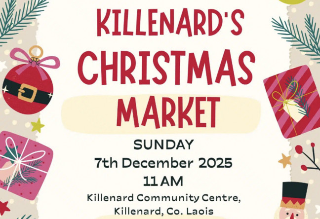 Things to do in County Laois, Ireland - Killenard Christmas Market - YourDaysOut