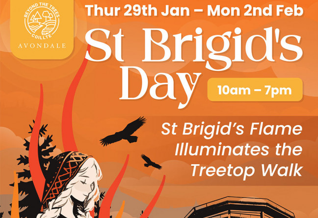 Things to do in County Wicklow, Ireland - St. Brigid’s Flame at Beyond the Trees Avondale - YourDaysOut