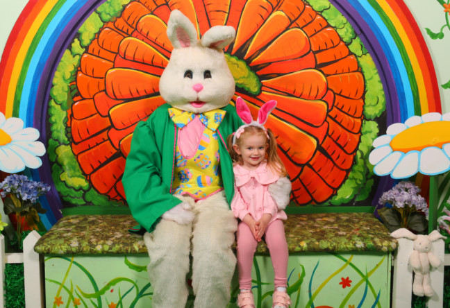 Things to do in County Limerick, Ireland - Visit The Easter Bunny | Cork, Limerick, Dublin - YourDaysOut