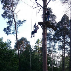 Things to do in County Cork, Ireland - Zipit Forest Adventures, Cork - YourDaysOut