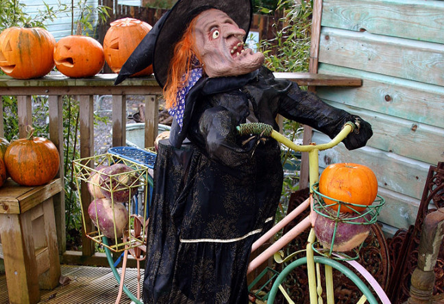 Things to do in County Galway, Ireland - Family Halloween Festival - YourDaysOut