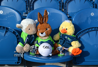 Things to do during the mid-term break | 13th - 22nd, February, 2026