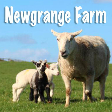 Newgrange Farm | Lambing Live | March 2022 logo