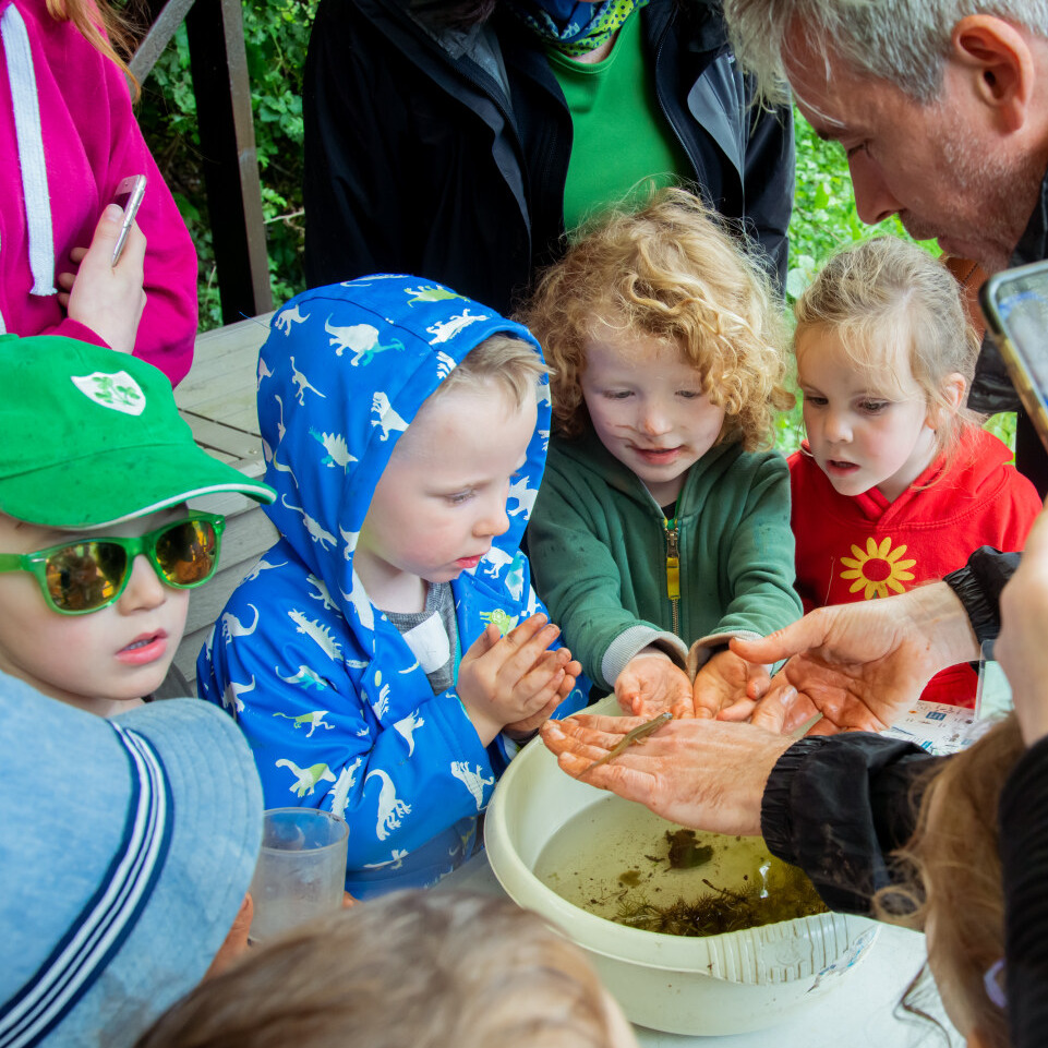 Brigit's Garden | Summer Camps logo