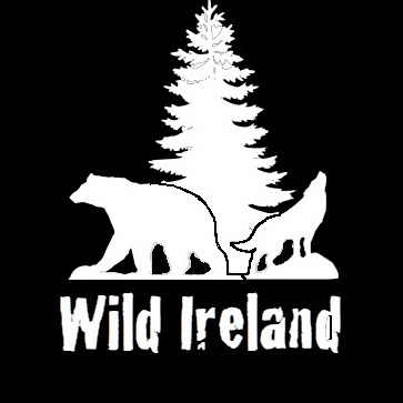 Wild Ireland | Halloween logo