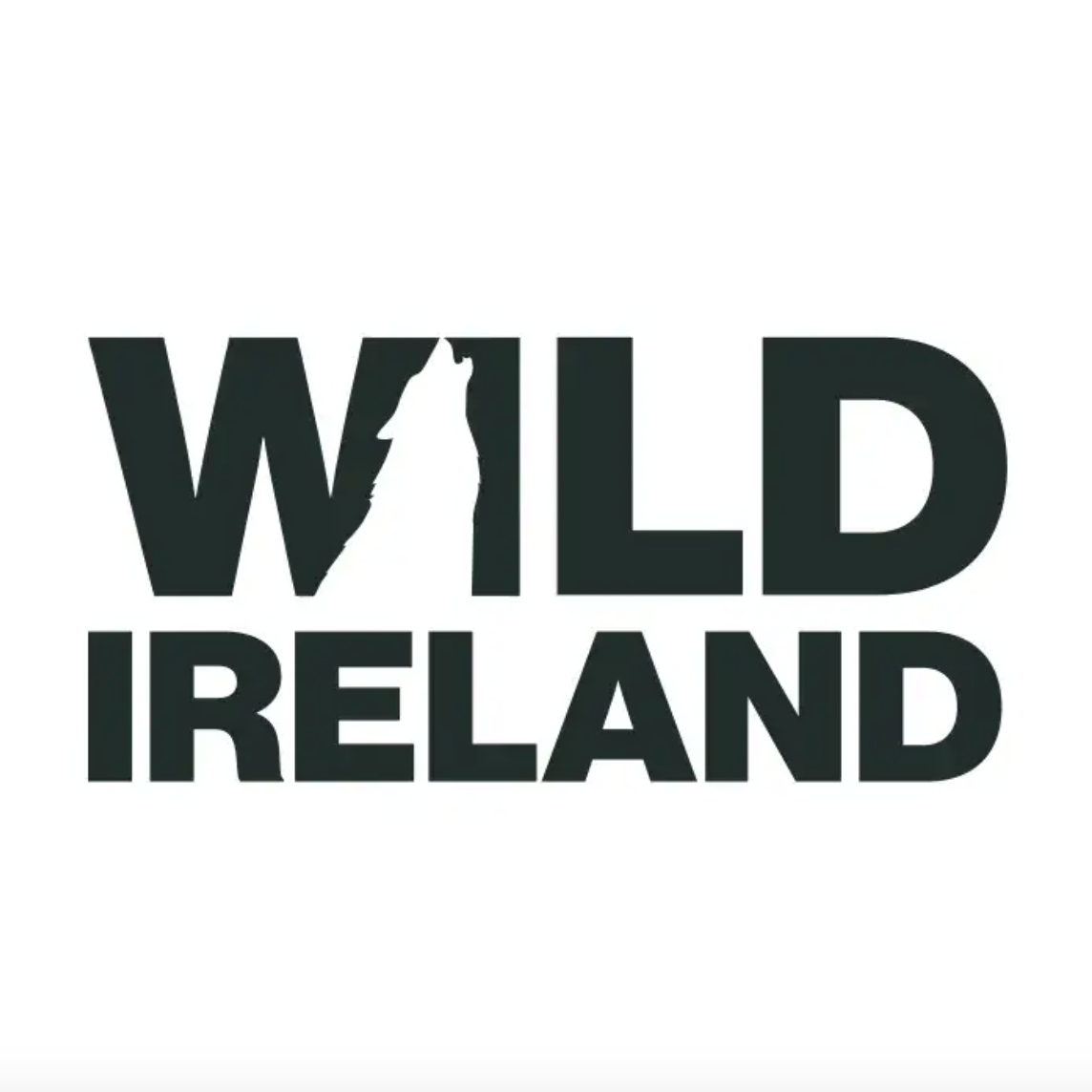 Wild Ireland | Flexi Tickets | Gifts logo