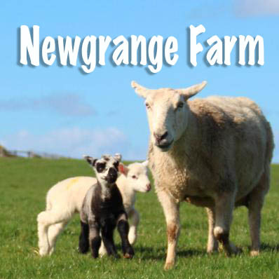 Newgrange Farm  | General Admission | 2022 logo