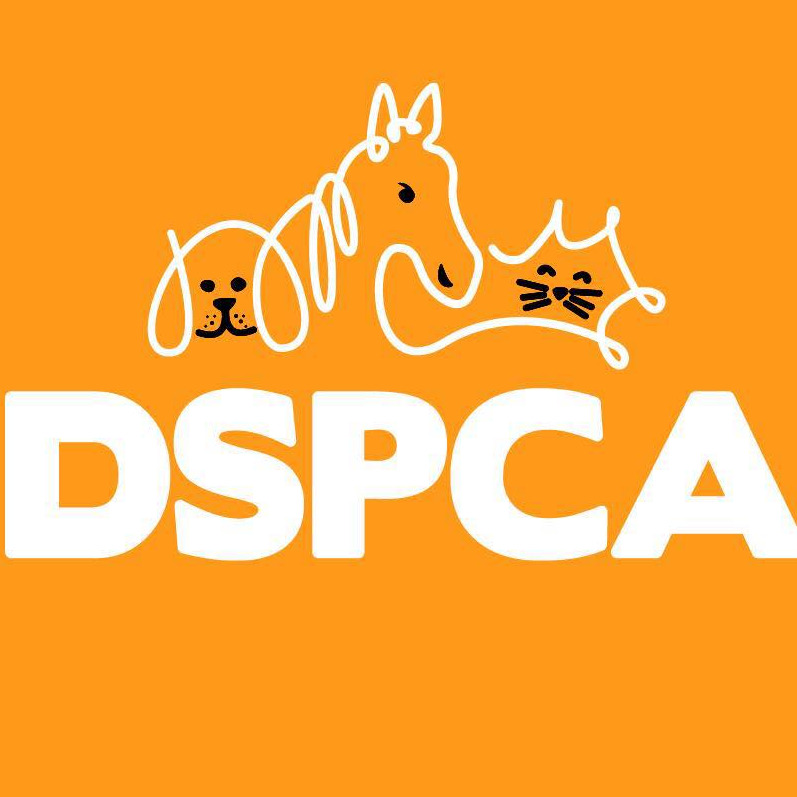 DSPCA PetFest logo