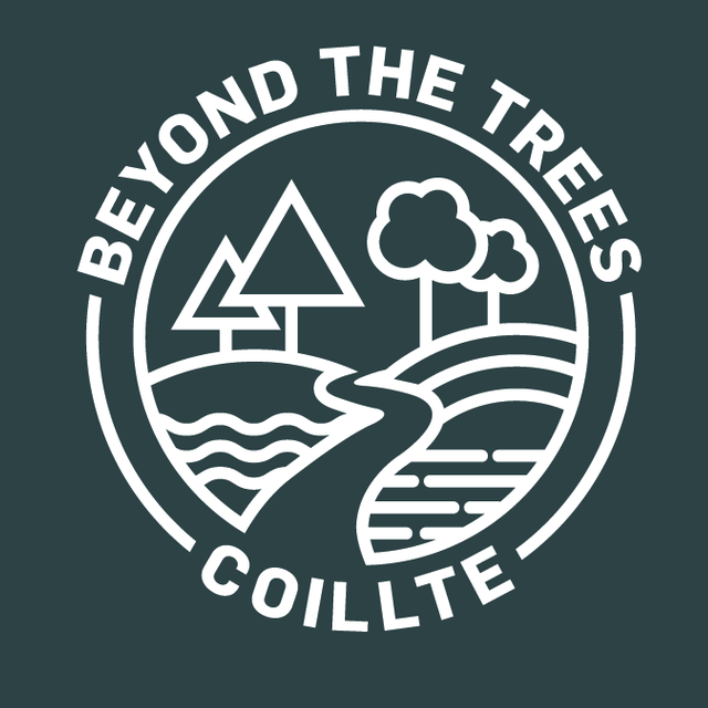 Beyond The Trees | Avondale logo
