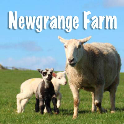 Newgrange Farm logo