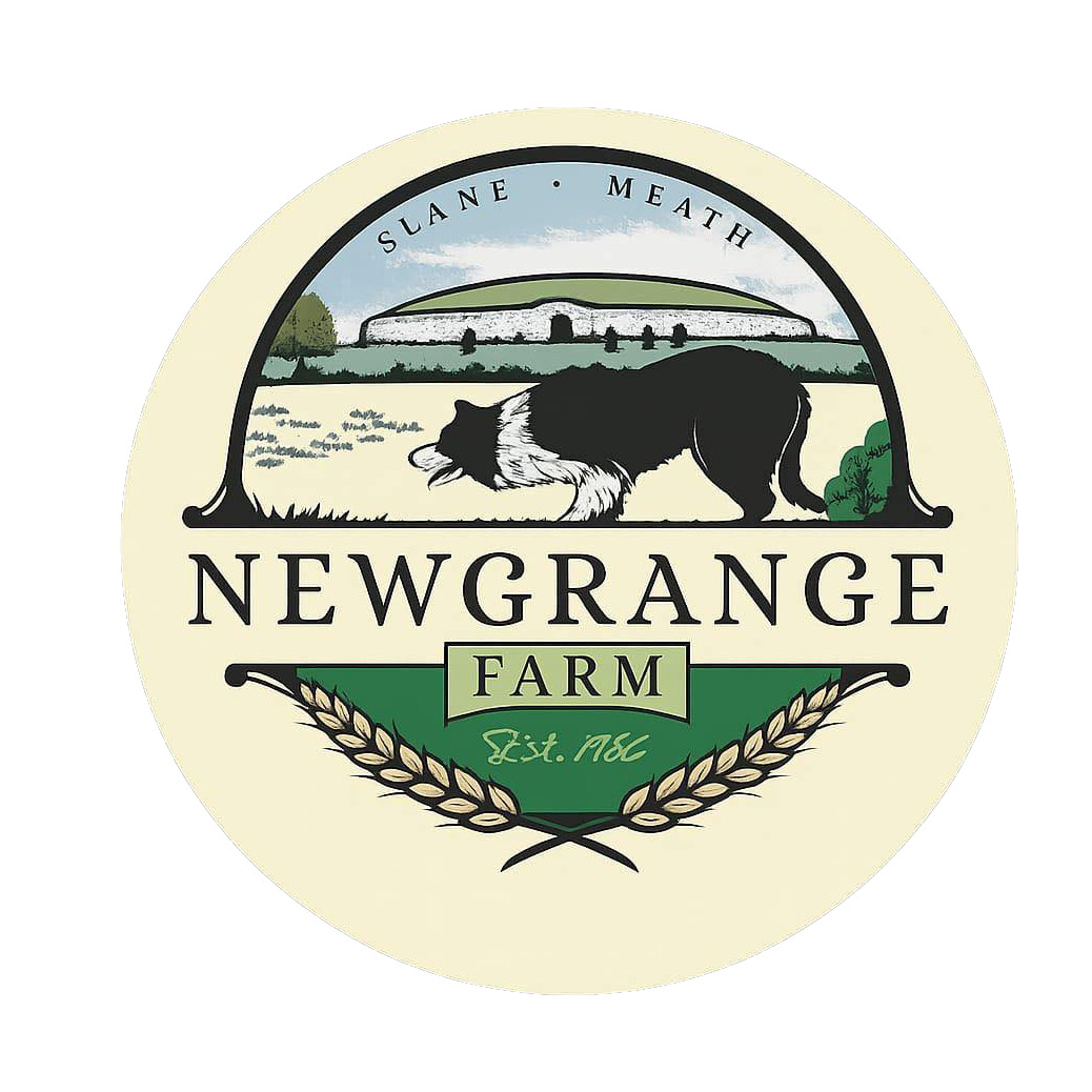 Newgrange Farm Archaeological Park Tour logo