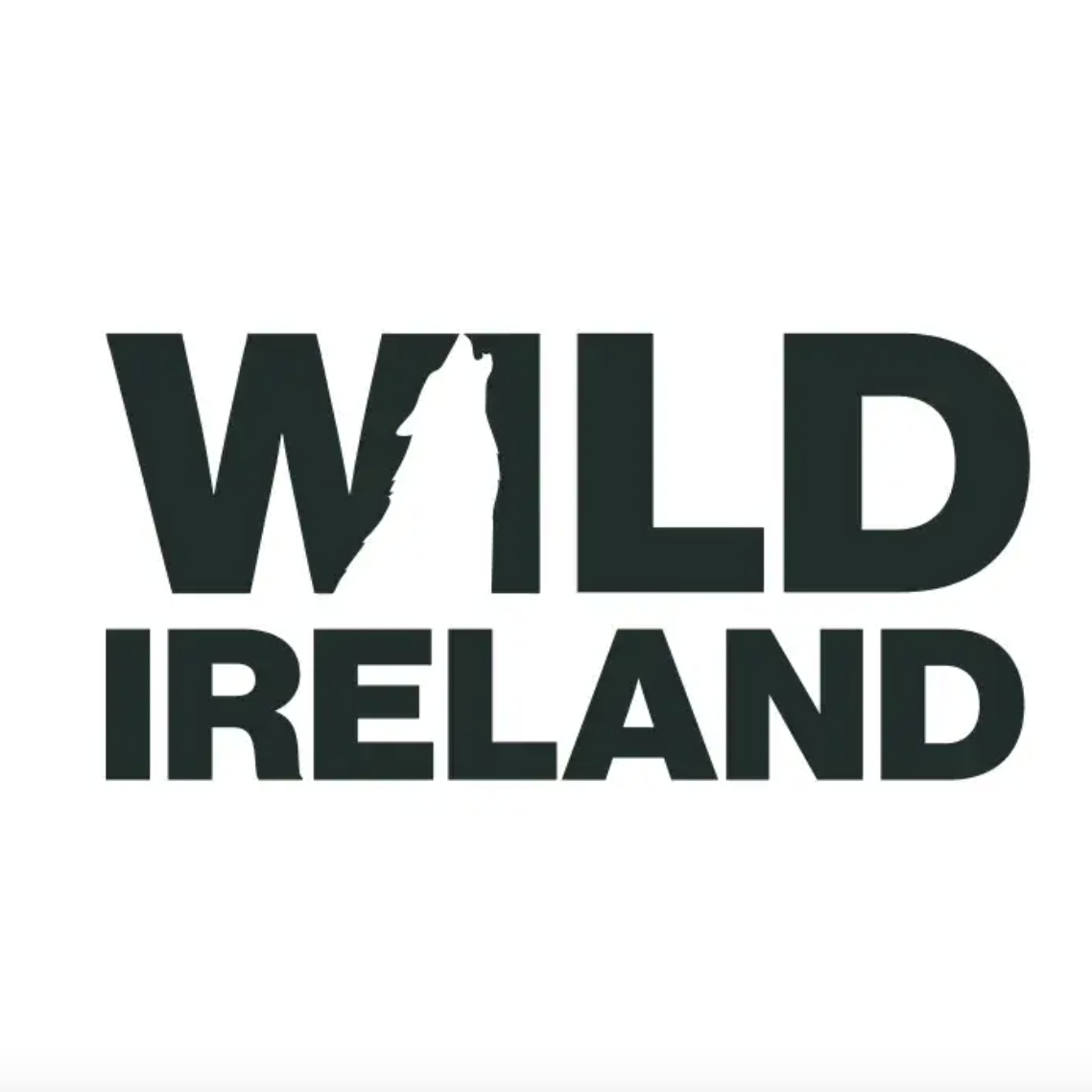 Wild Ireland | Events logo